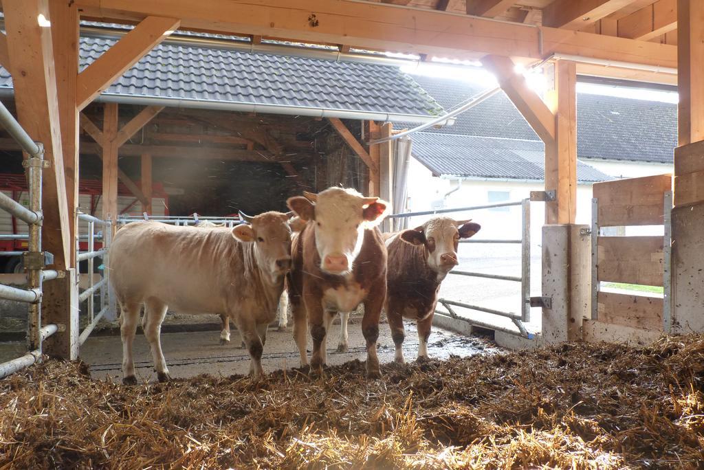 Apartmán Landgut Wagnerfeld Altmünster Exteriér fotografie