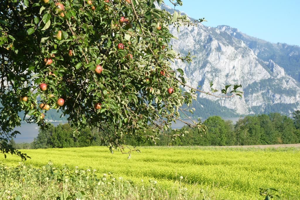 Apartmán Landgut Wagnerfeld Altmünster Exteriér fotografie